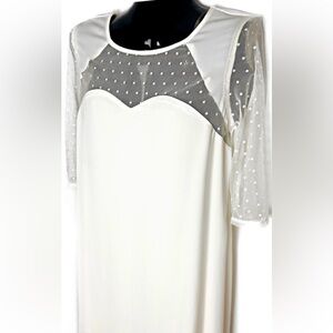 NWT Elegant Sheer Cream Dress